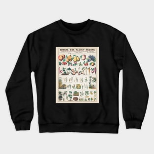 Botanical Fruit and Vegetables Plant Chart Crewneck Sweatshirt